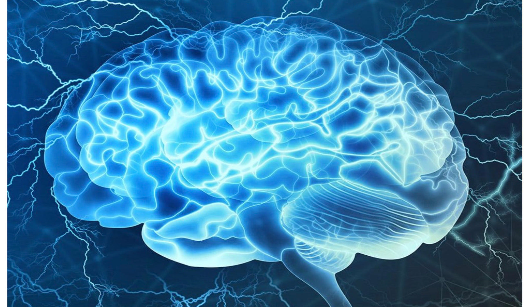 EVERYTHING YOU NEED TO KNOW, THE LATEST & GREATEST ON BRAIN HEALTH