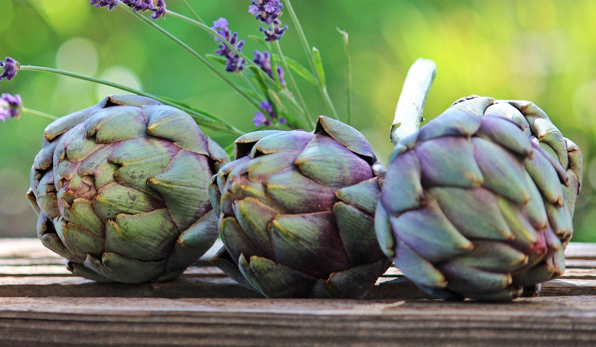 INGREDIENT SPOTLIGHT: ARTICHOKES