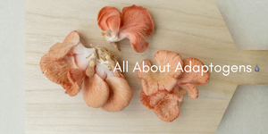 ALL ABOUT ADAPTOGENS