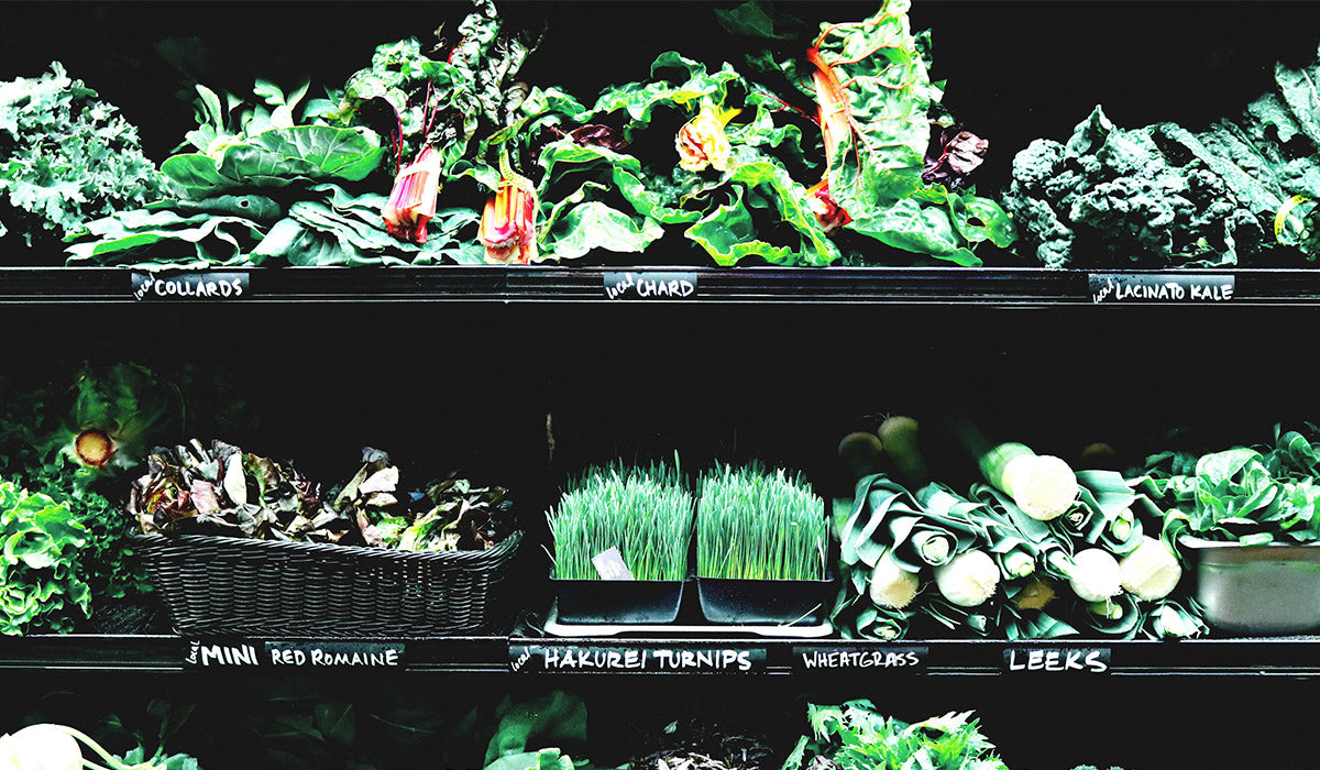 Fact or Fiction: Vegans Don’t Get Enough Iron