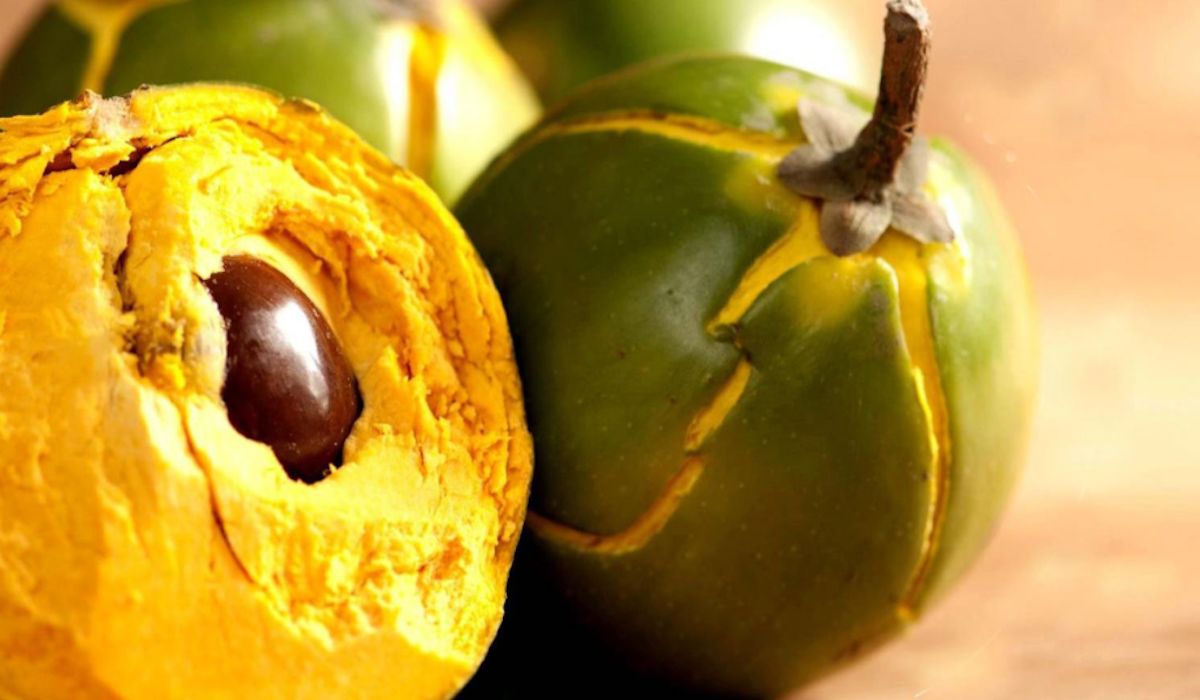 Simplify Your Life - Adaptogenics