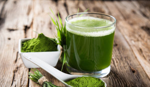 The 411 on Wheatgrass and Barley Grass